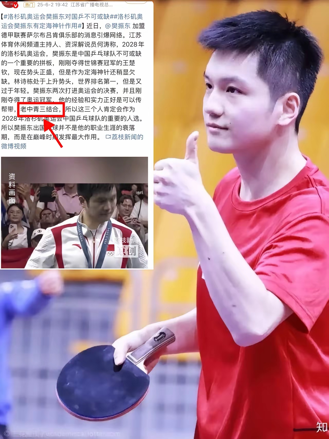 关于比利时乒乓球队横扫中国乒乓球队,樊振东完成帽子戏法的信息 关于比利时乒乓球队横扫中国乒乓球队,樊振东完成帽子戏法的信息