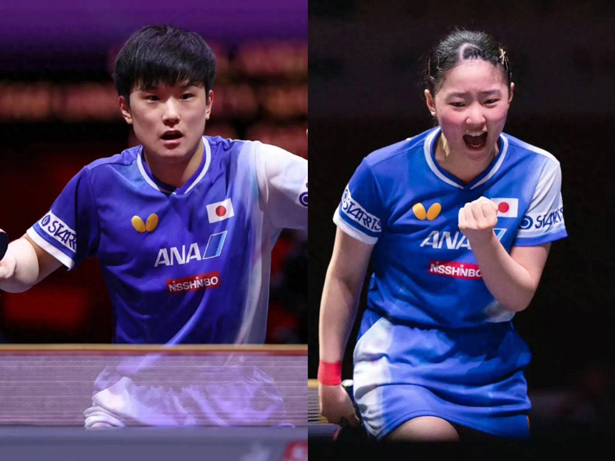 包含日本队逆转韩国队，张本智和扛起全队的词条