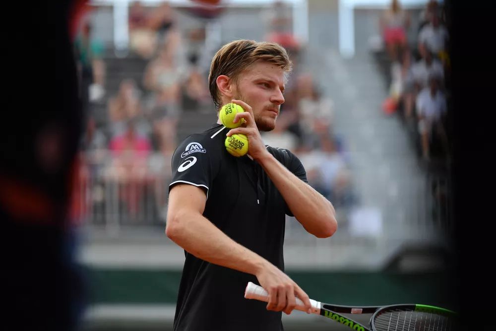 马来西亚队逆转法国队，戴资颖状态火热的简单介绍